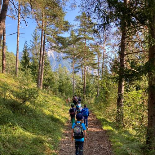 Waldweg, 6 Kinder der 1d von hinten