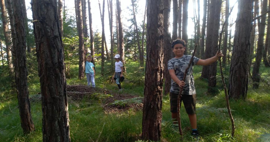 3 Kinder der 3c Klasse im Wald verteilt