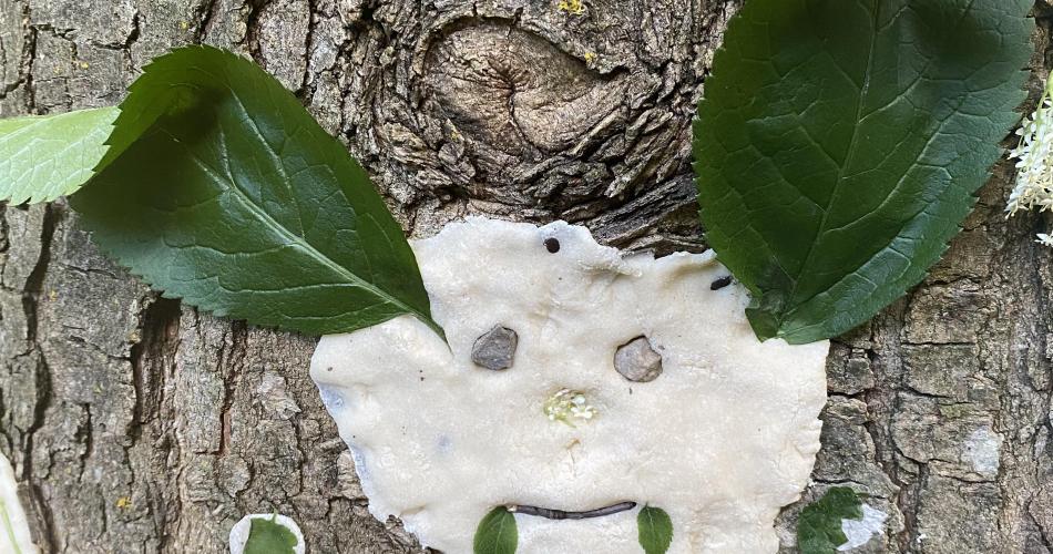 Salzteigfledermaus an einem Baumstamm
