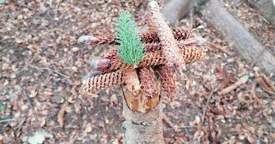 Naturgebilde