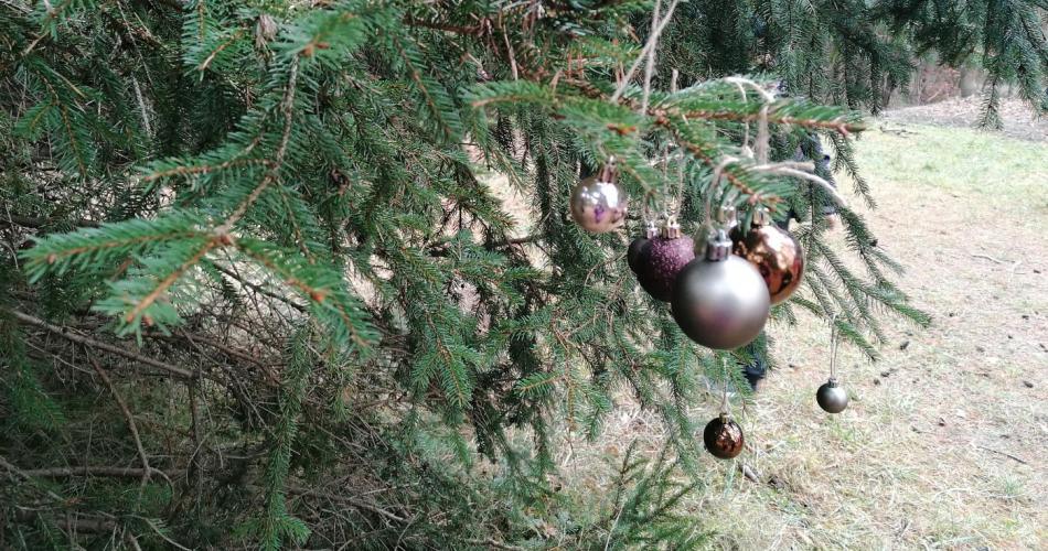 Weihnachtskugeln am Christbaum in freier Natur