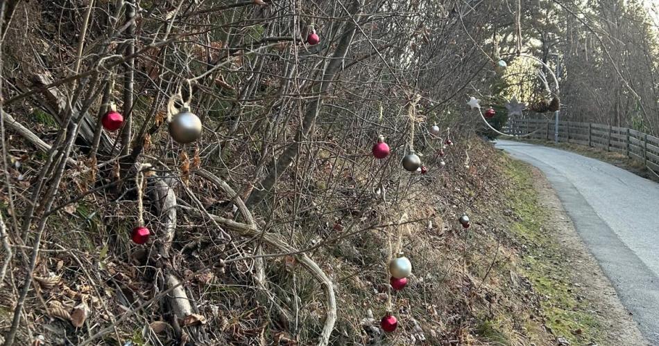 Weihnachtskugeln auf den Bäumen