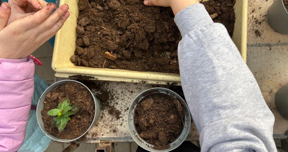Kinder beim Einsetzen der Pflanzen