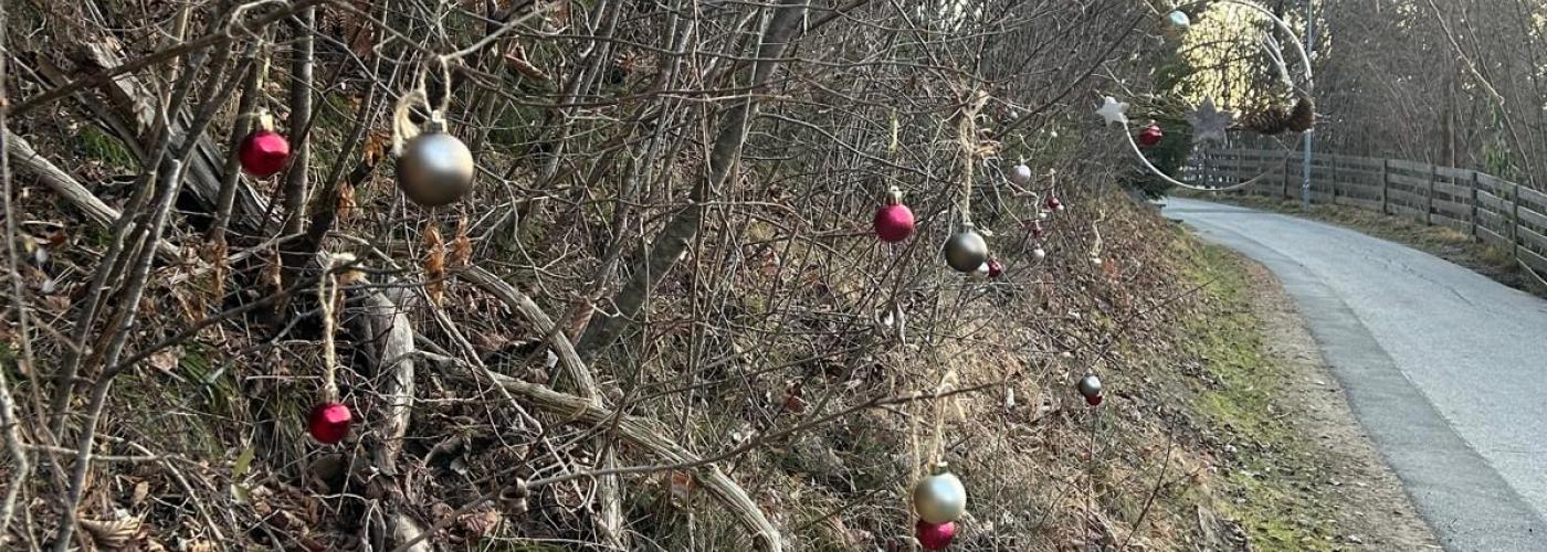 Weihnachtskugeln auf den Bäumen