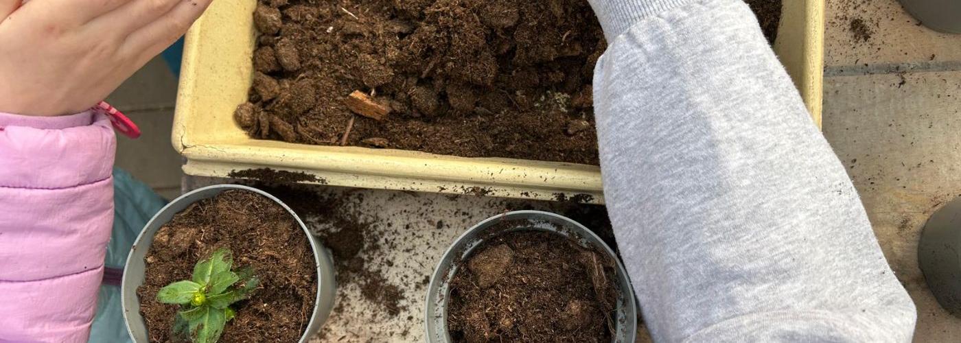 Kinder beim Einsetzen der Pflanzen