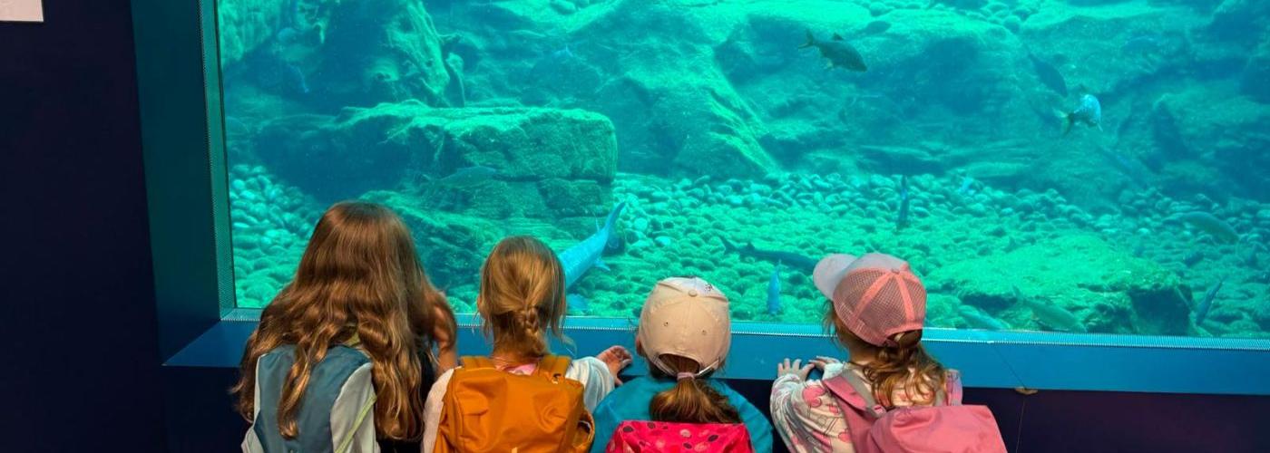Kinder schauen in ein Aquarium