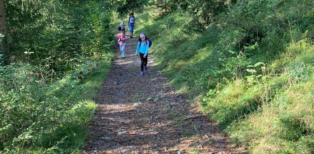 Waldweg, 2 Kinder der 1d beim Wandern