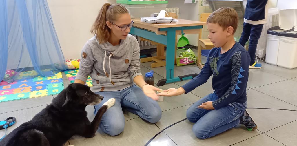 Kind füttert Hund aus der Hand