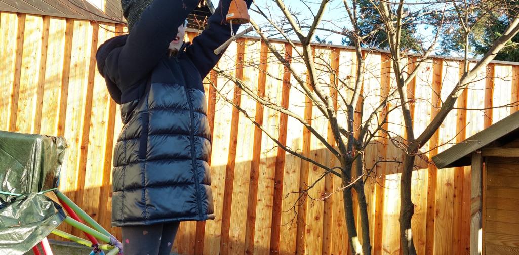 Kind hängt Vogelfutter auf