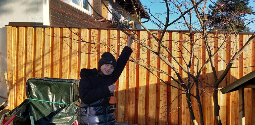 Kind hängt Vogelfutter auf