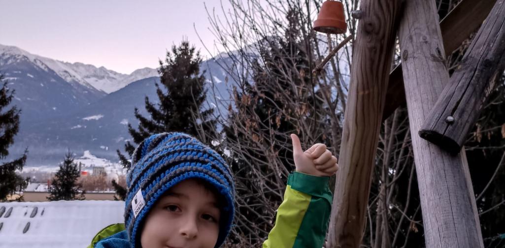 Kind hängt Vogelfutter auf