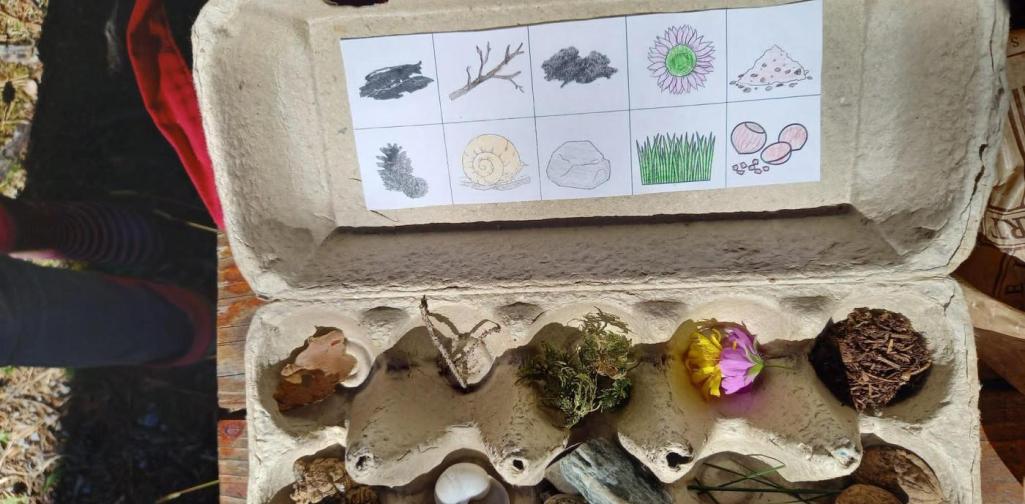 VSK_Waldtag Eierschachtel mit verschiedenen Dingen aus dem Wald