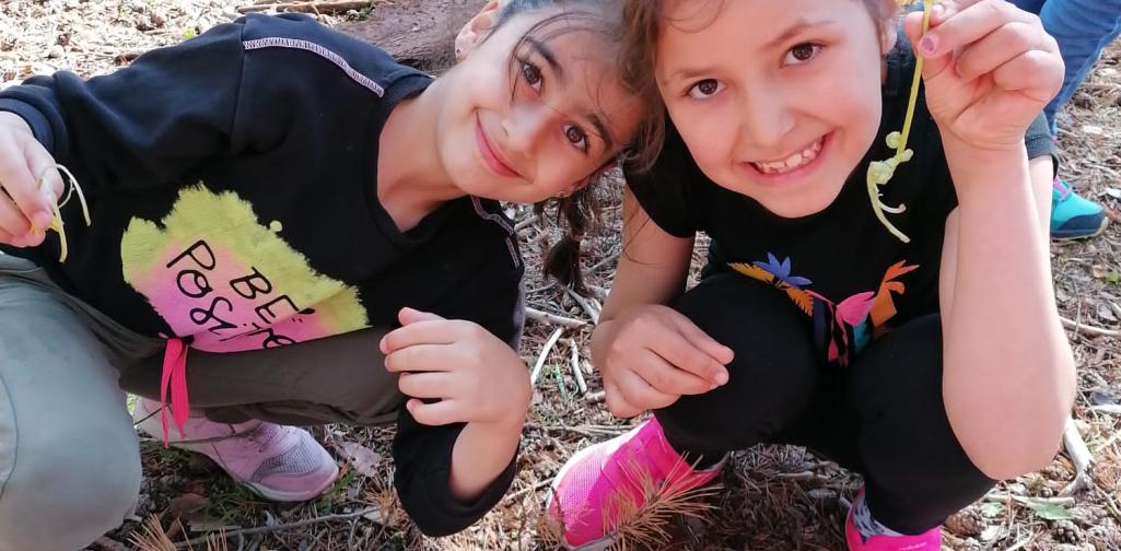 Kinder sammeln Blumen