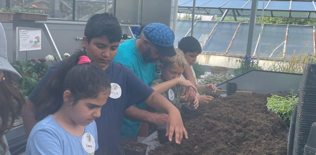 3b in der Gärtnerei