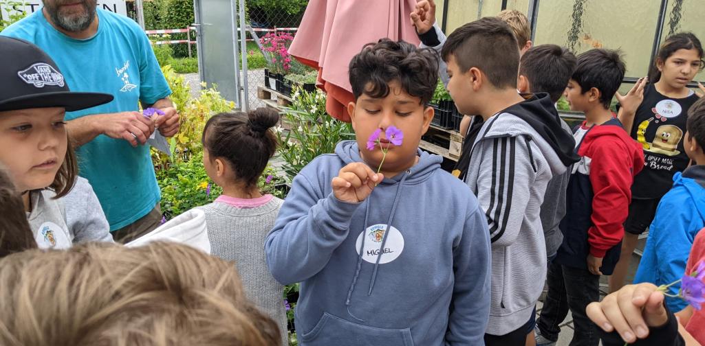 3a in der Gärtnerei