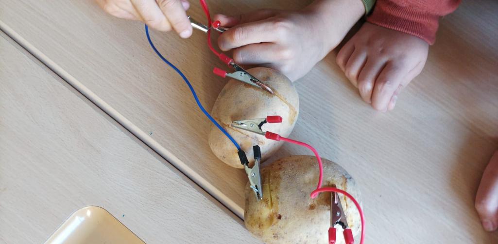 Experiment mit einer Kartoffel