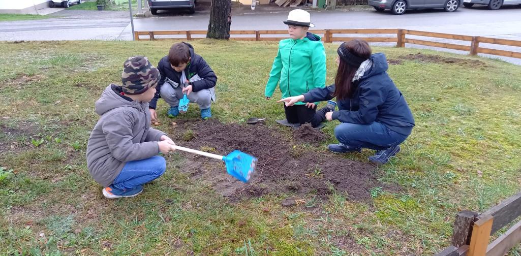 Kinder pflanzen Blumenzwiebeln ein