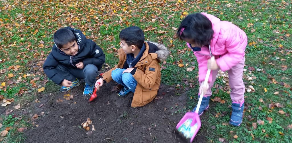 Kinder pflanzen Blumenzwiebeln ein