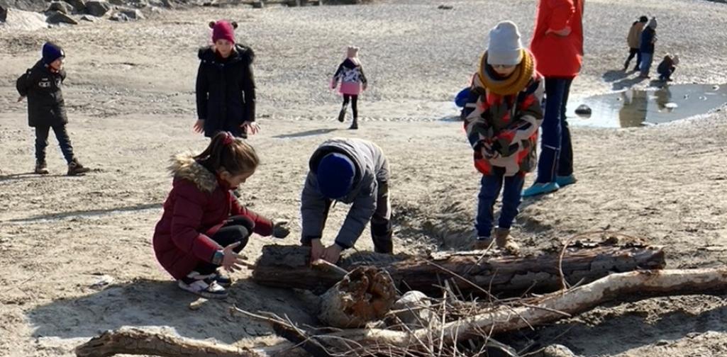 Kinder bauen eine Biberburg