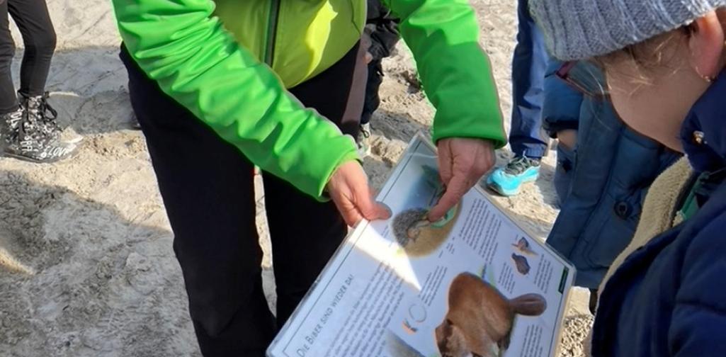 Kinder betrachten ein Bild eines Bibers in einem Sachbuch