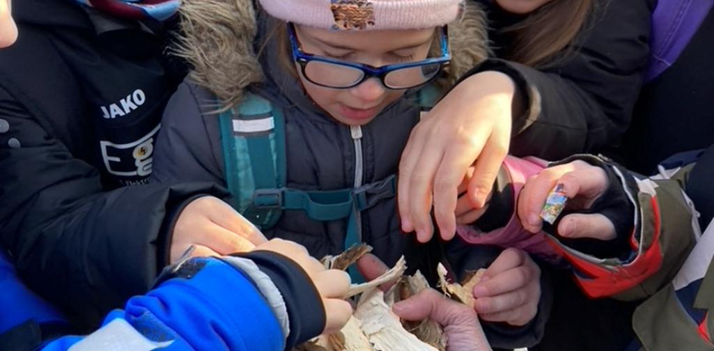 Kinder untersuchen Holzspäne