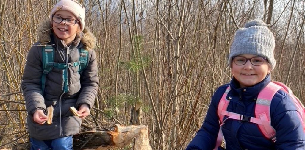 Kinder untersuchen einen umgeknickten Baumstamm