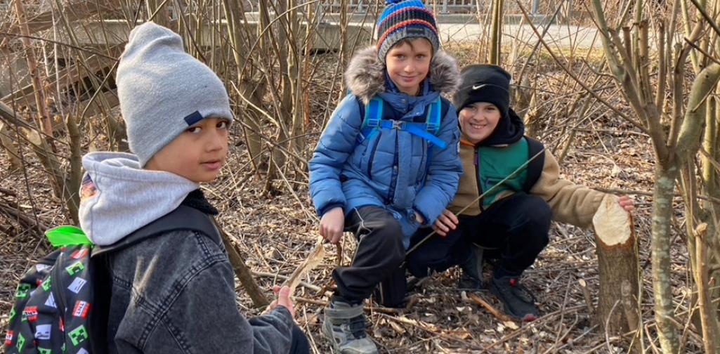 Kinder suchen Holzspäne