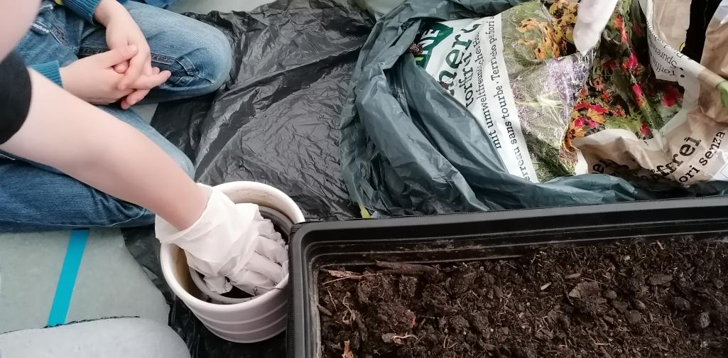 Blumen pflanzen 1 Blumenerde wird in die Topfe gegeben