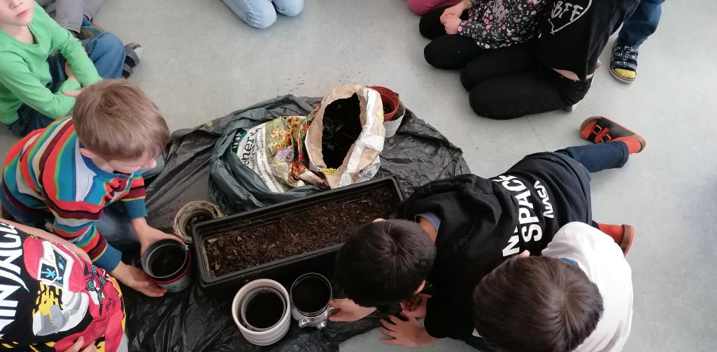 Blumen pflanzen 4 Samen werden mit etwas Erde bedeckt