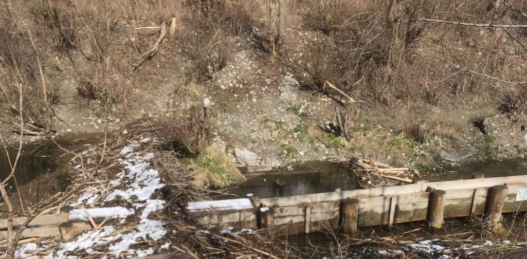 Biberausflug 2 Kinder diskutieren über einen Biberdamm