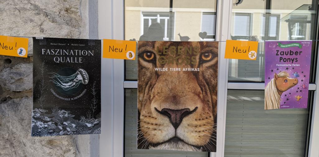 Bücherleine mit dem Cover der neuen Bücher