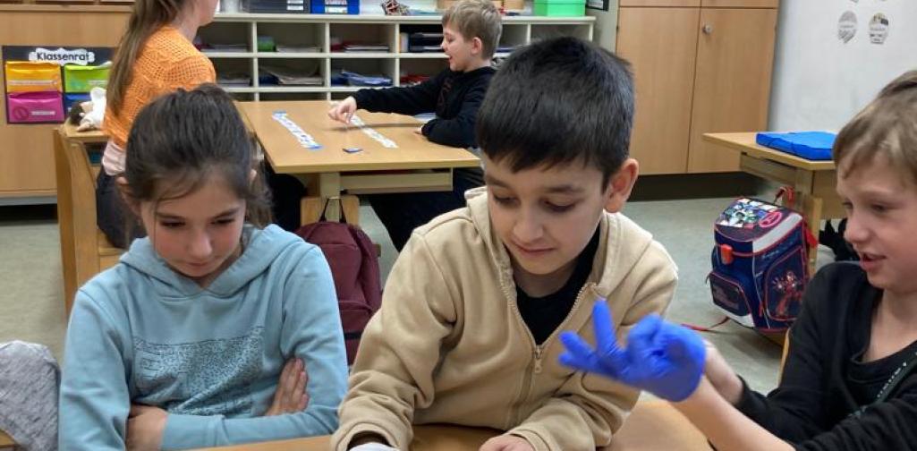 Herz 01 Kinder betrachten ein Tierherz