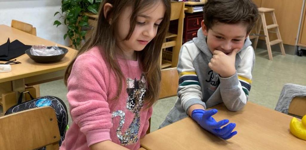 Herz 06 Kinder begutachten das Tierherz