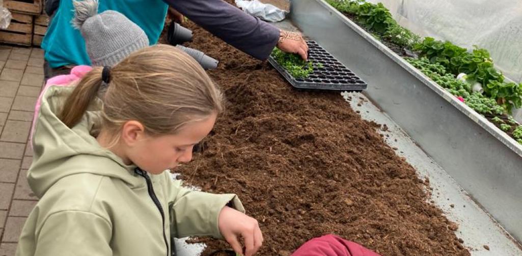 Kinder topfen Setzlinge um