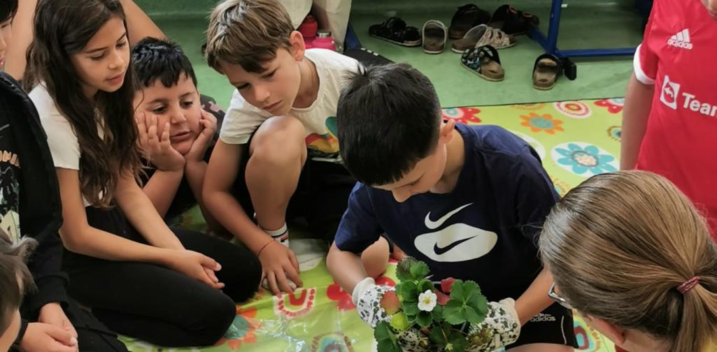 Kinder der 2d Klasse beim SCHMATZI Projekt