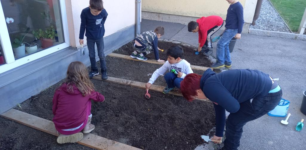 Schulgarten 1 Kinder legen die Beete im Schulgarten an