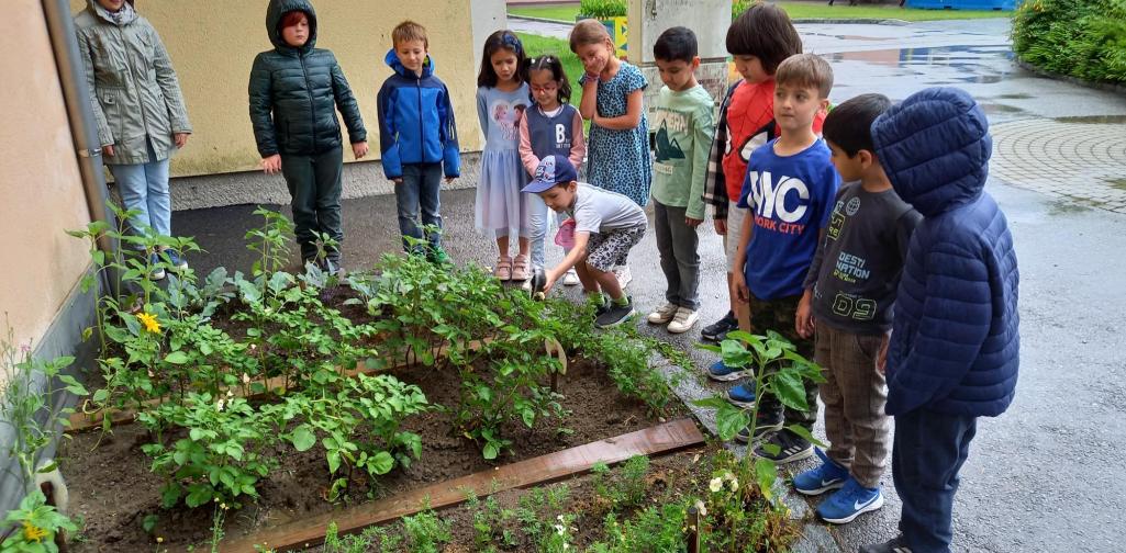 Schulgarten 3 Kinder bestaunen die Pflanzen im Gemüsebeet