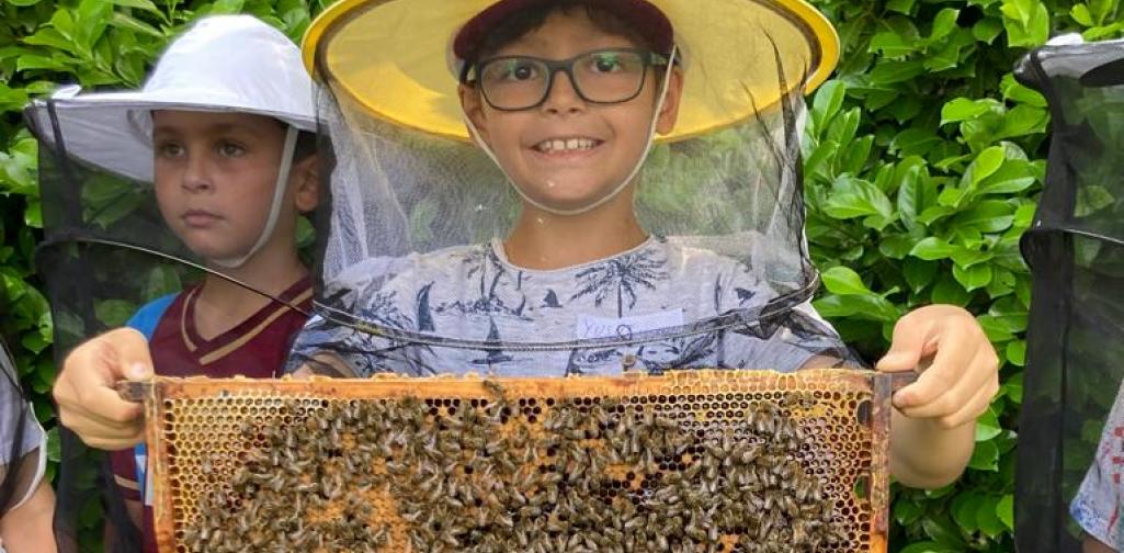 Imker 6 Kind hält eine Bienenwabe