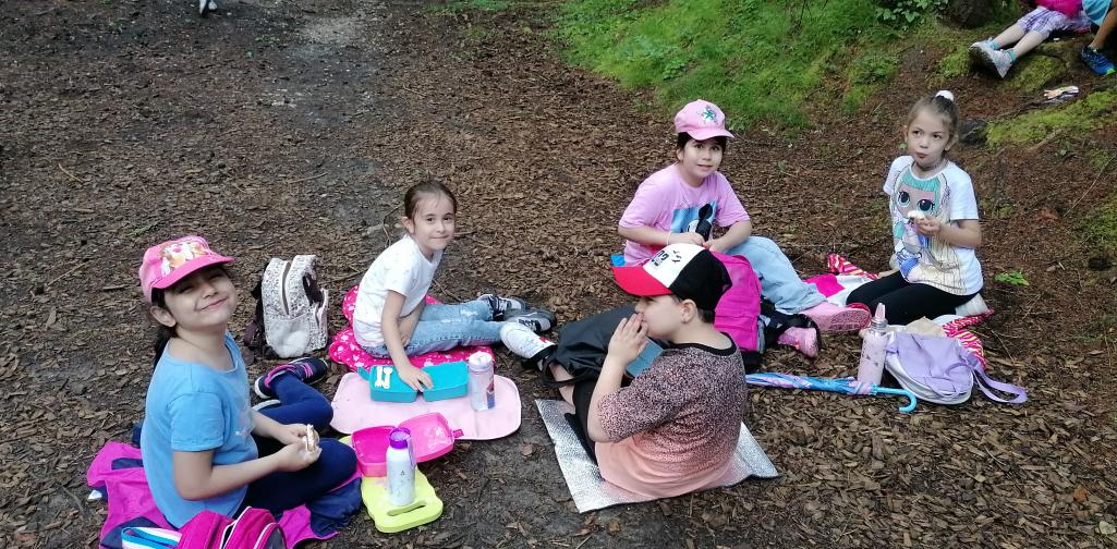 Wandertag 6 Picknick im Wald