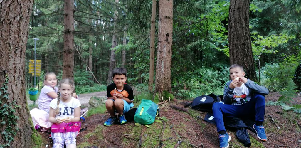 Wandertag 10 Jausenfoto im Wald