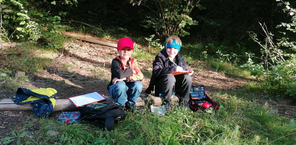 Schule im Wald 2 Kindergruppe erldigt Schulaufgaben im Wald