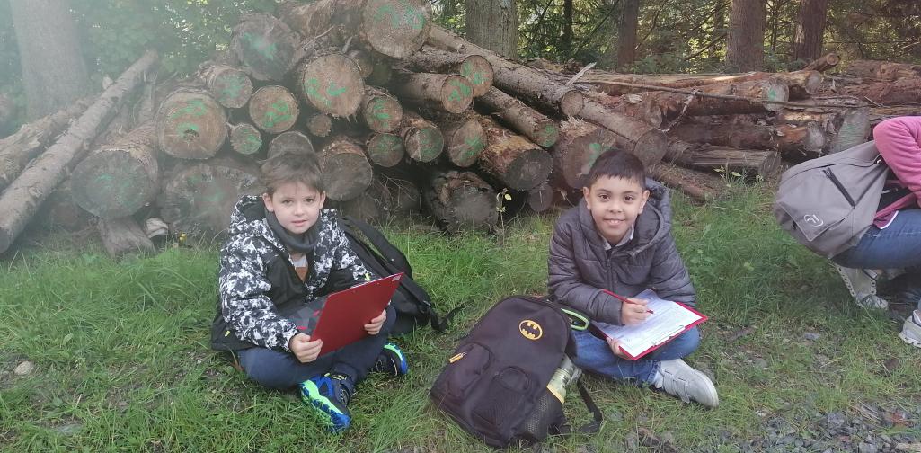 Schule im Wald 6 zwei Schüler erledigen Schulaufgaben im Wald