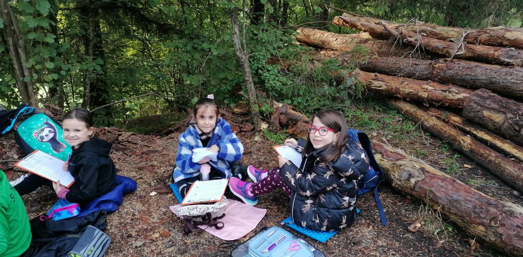 Schule im Wald 14 Kindergruppe erldigt Schulaufgaben im Wald