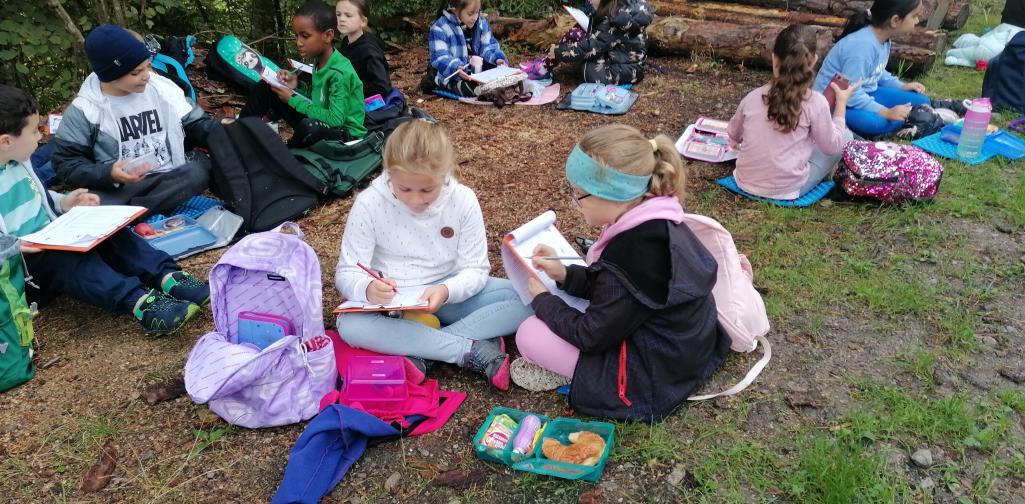 Schule im Wald 15 mehrere Kinder arbeiten sehr konzentriert