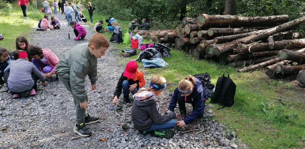Schule im Wald 20 Kinder bauen in Gruppen