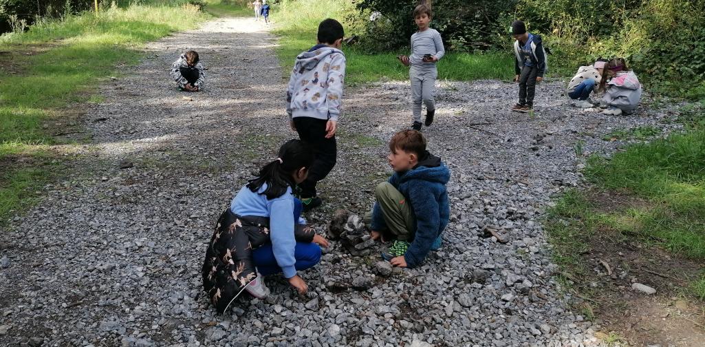 Schule im Wald 21 mehrere Kinder laufen auf einem Forstweg