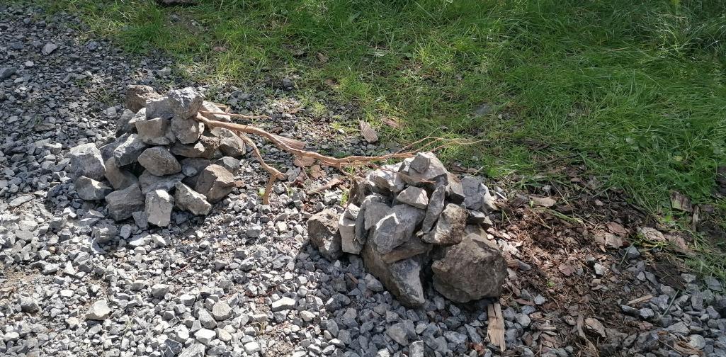 Schule im Wald 23 Steinfigur