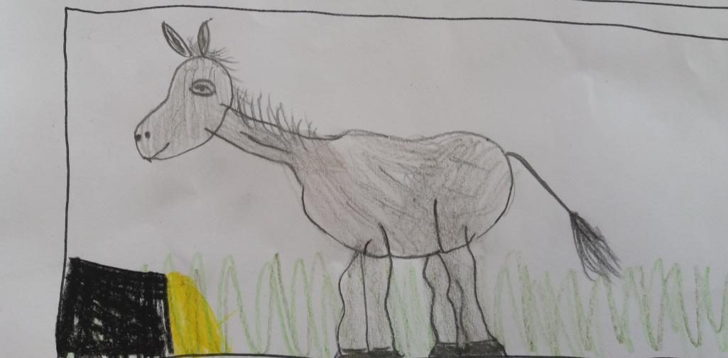 Lernatelier Zeichnen 3 Kinderzeichnung eines Esels