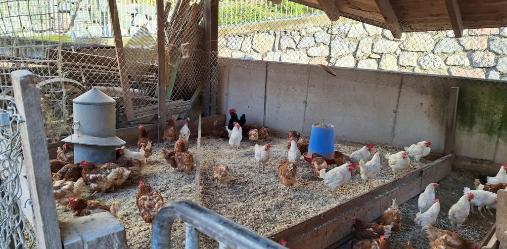 Bauernhof 03 Hühnerstall