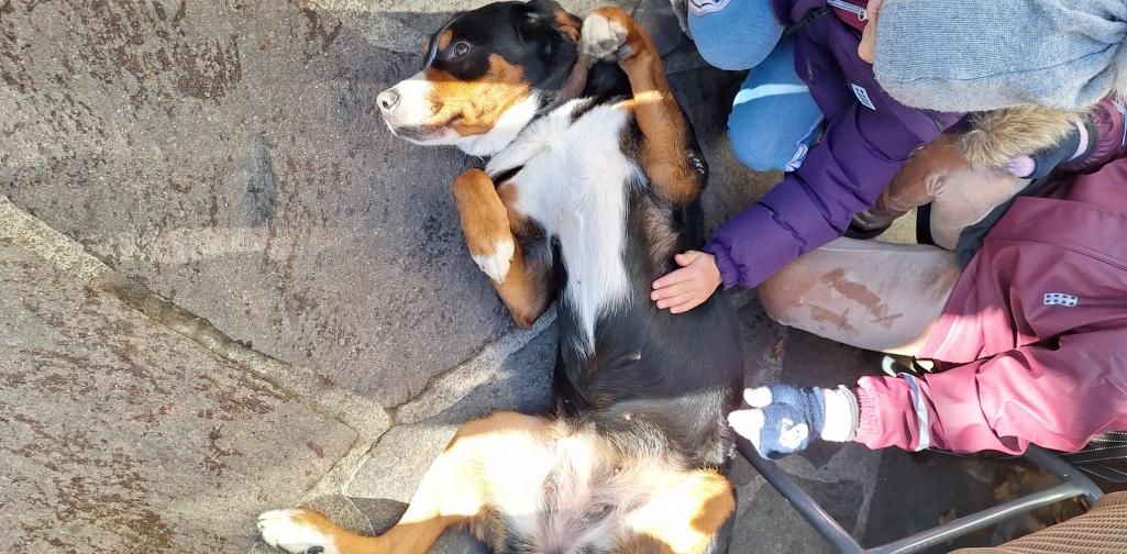 Bauernhof 04 Kinder streicheln einen Hund